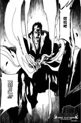 黑崎一护的斩魄刀(黑崎一护体内的大叔是谁)插图20