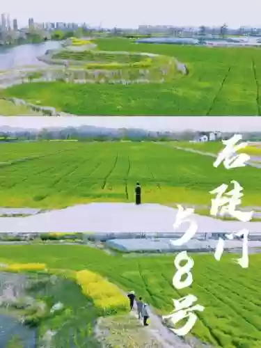 帮我更改阵容(足球球员阵容编辑器)插图4