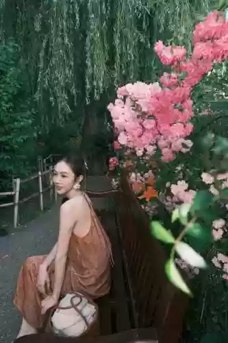 海鸥花园阵容(东港海鸥花园批八字)插图10