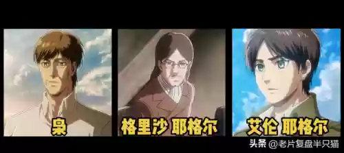 进击的巨人女巨人(女巨人阿尼是好人吗)插图12