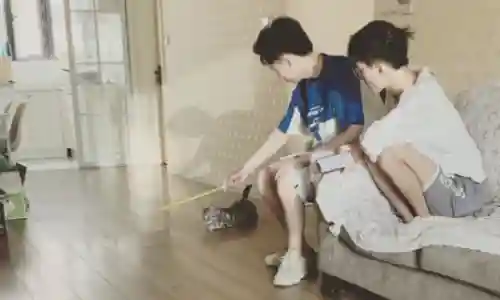 和平精英最乱的阵容(王者荣耀三排骚阵容)插图1