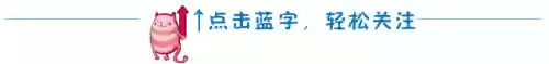 糖蒜铺子阵容(姜饼人王国阵容推荐)