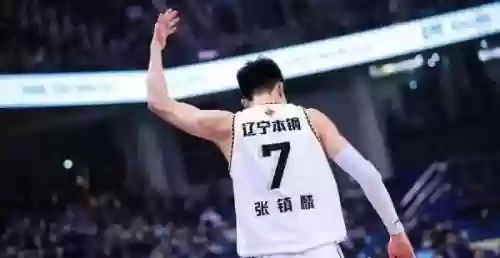 辽宁本钢2019阵容图片(cba辽宁本钢队员名单)