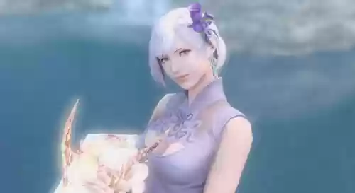 ff14种族介绍图(ff14六大种族属性差异)插图1
