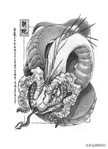 108只神兽大全(宝可梦98只神兽图片)插图61