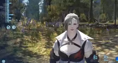 ff14种族介绍图(ff14六大种族属性差异)插图6