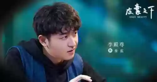 皮囊之下阵容(鸿图之下阵容)插图6