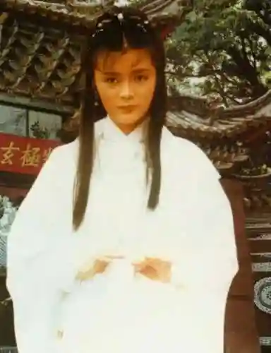 老版神雕侠侣83版电视剧(神雕侠侣83版免费观看粤语)插图35
