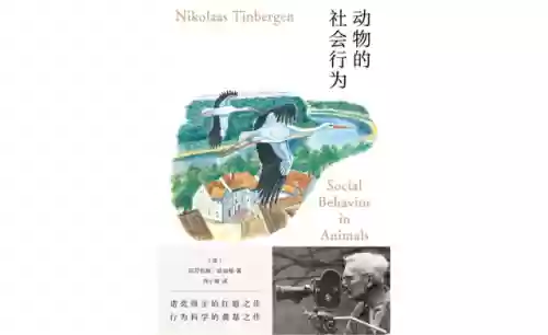 强大的阵容震撼人心的词语(形容阵容强大的句子)插图3