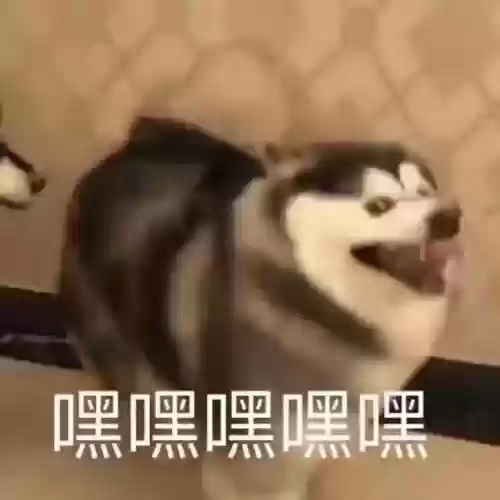 生化危机1 6百度网盘(生化危机1—6迅雷下载)插图10
