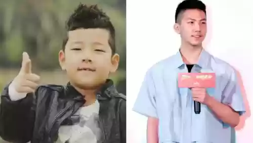 爸爸去哪儿2季阵容搭配(爸爸去哪儿4季名单表)插图6