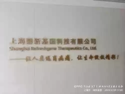 猫和老鼠共研服激活码2023最新(猫和老鼠官方手游激活码怎么领取)插图3