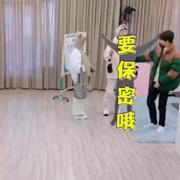 雪罐子阵容(雪刀群侠传阵容)插图31