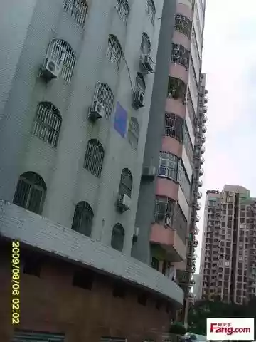 莲花华明阵容(食物语国家队阵容)插图3