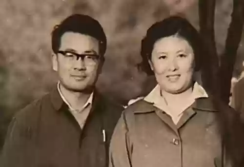 阿诗玛阵容(南蛮骑的顶级阵容搭配)插图10