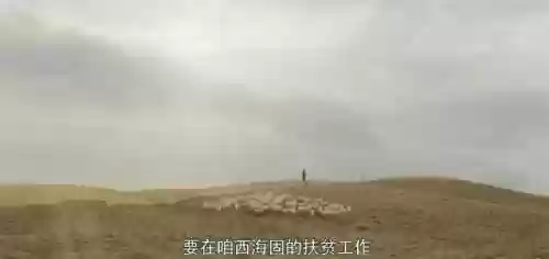硬核剧作阵容(剧本杀硬核本)插图7