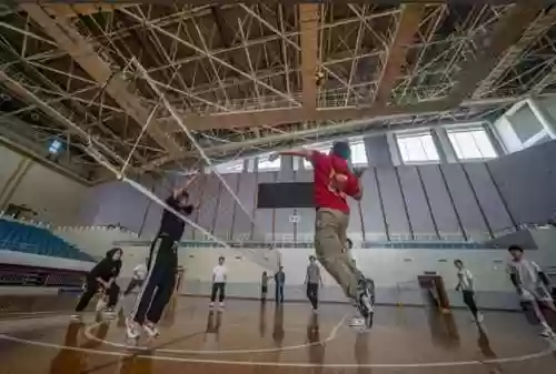 新手排球阵容(零基础排球教学怎么开始训练)