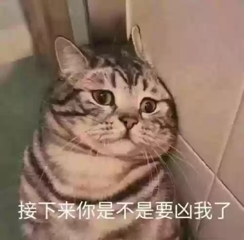 九阴真经第一土豪包子(九阴真经官网)插图6