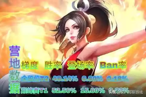 不知火舞适配哪些阵容装备(不知火舞克制哪个英雄)