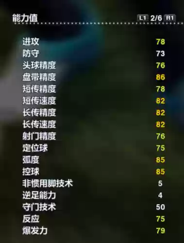 实况瑞典阵容(实况足球最新预设阵容)插图52