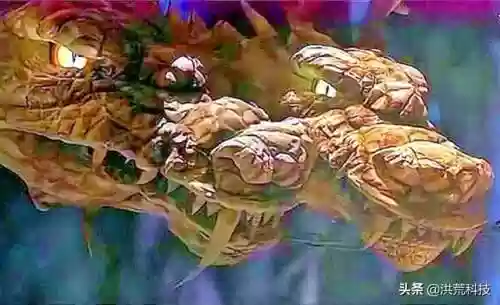 武林秘籍功夫名字大全(金庸笔下武功大全列表)插图17
