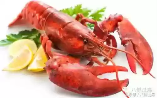 波士顿龙虾(波士顿龙虾的做法清蒸几分钟)