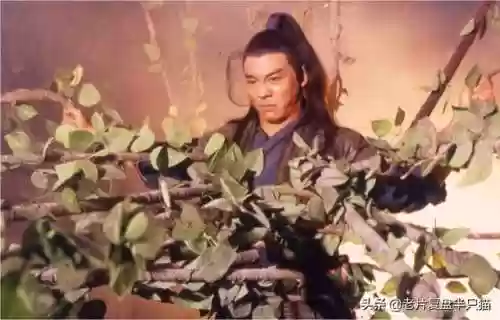 倚天屠龙记经典版(金庸最认可的倚天屠龙记)插图14