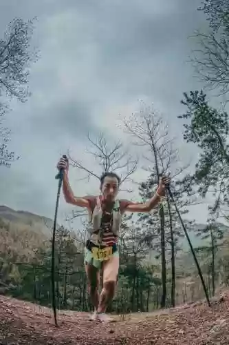 本赛季东西部最强阵容装备(部落冲突4级大本营最强布阵怎么摆)插图7