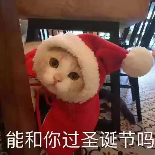 雪夜盗影阵容(伏魔记阵容搭配)插图23 雪夜盗影阵容(伏魔记阵容搭配)插图23