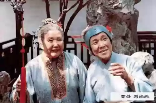 神仙阵容赵丽蓉(天龙八部3d美人搭配最新阵容)插图10