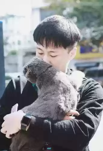 关于王者阵容的解说词(王者荣耀解说词)插图3