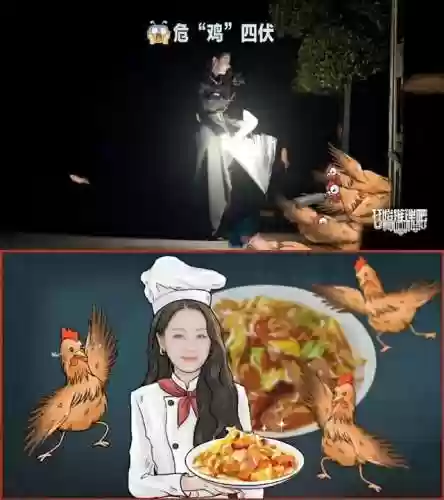 集结季第二个任务位置(大树屋第二个任务怎么做)插图7