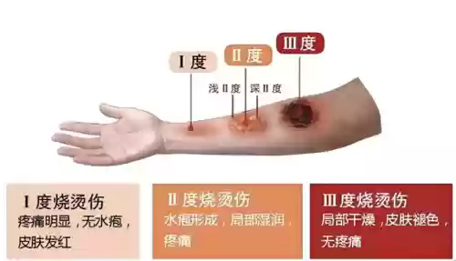 10.143源阵容(启源女神t0阵容)插图2