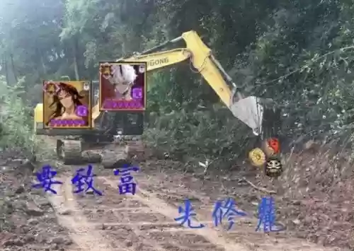 阴阳师新手四人阵容推荐(阴阳师百闻牌阵容)