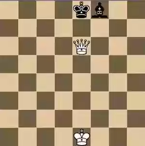 国际象棋教程(国际象棋3d战斗版)插图27