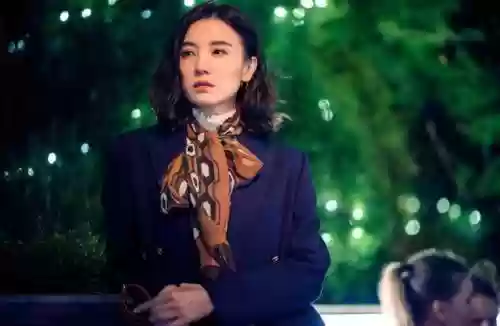 电视剧盛装的演员阵容(我哥我嫂电视剧演员表)插图1