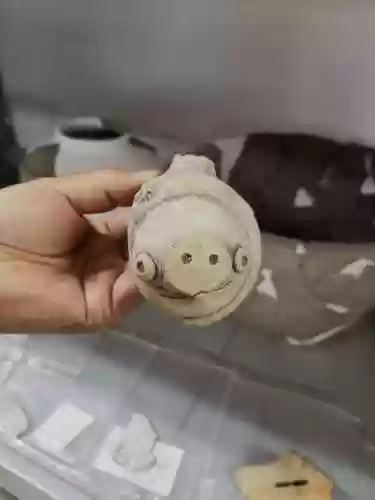 奇异聚落阵容(奇妙探险队2最强阵容)插图2