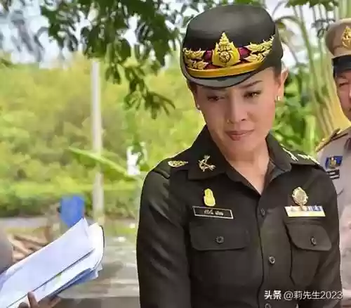 后宫的阵容(宫廷计最强阵容搭配)插图2 后宫的阵容(宫廷计最强阵容搭配)插图2
