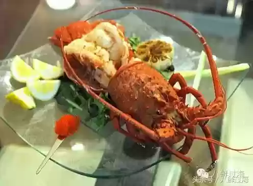 波士顿龙虾(波士顿龙虾的做法清蒸几分钟)插图7