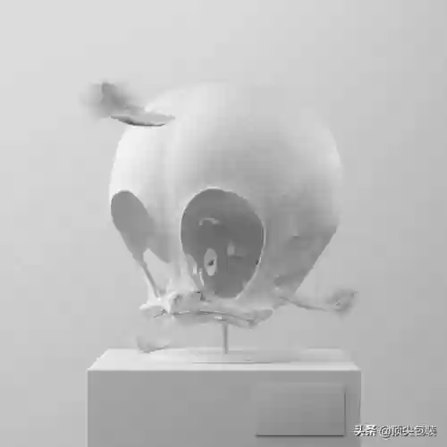 海绵宝宝的尸骨(画海绵宝宝一家人)插图18