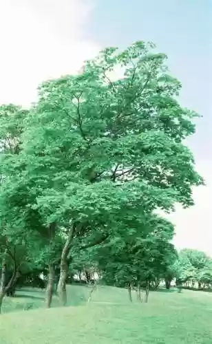 精美壁纸手机高清图片(精美壁纸动漫 二次元男生帅气)插图18