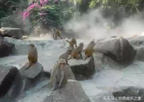 西游记歌曲(西游记十首最好听的歌)插图3