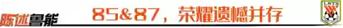 鲁能王朝阵容(鲁能球员全部名单)插图7