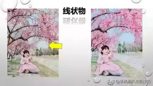 图片处理软件哪个好用(照片处理软件免费版)插图9