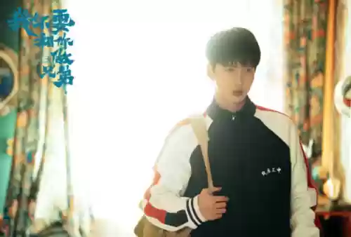 天狐阵容2022(2022年王者荣耀最佳阵容)插图30