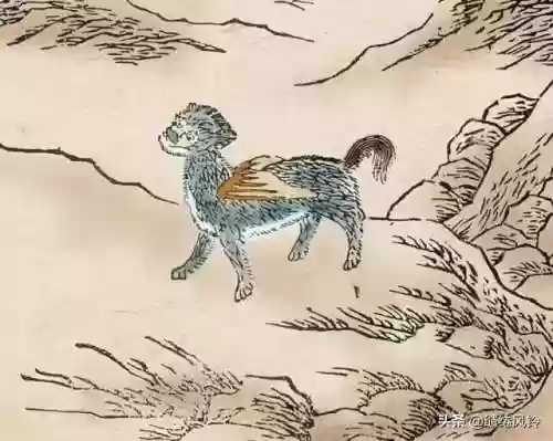 108只神兽大全(宝可梦98只神兽图片)插图9