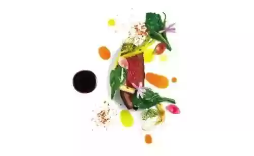 黑珍珠阵容(赤红的精灵阵容)插图6