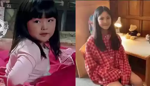 爸爸去哪儿2季阵容搭配(爸爸去哪儿4季名单表)插图8