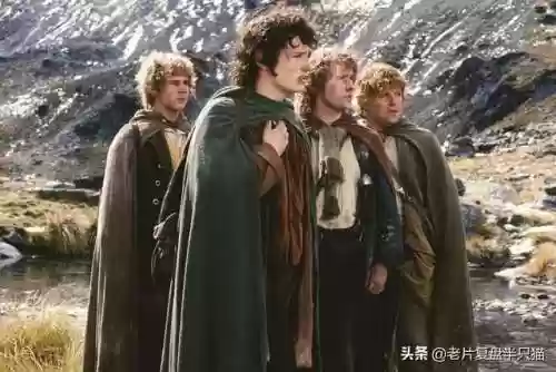 魔戒阿拉贡为什么死了(魔戒甘道夫死了没)插图41