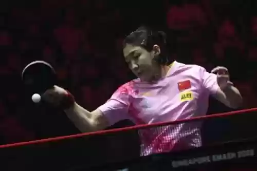 乒乓球新加坡五连冠阵容(新加坡乒乓球教练)插图1